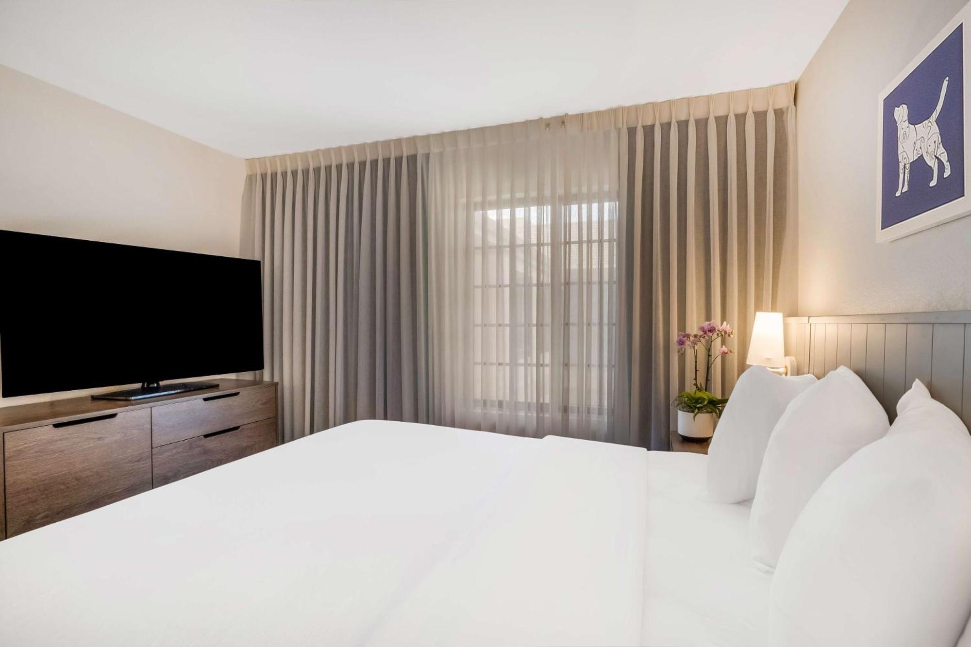 Sonesta Es Suites Denver South Park Meadows Lone Tree Dış mekan fotoğraf